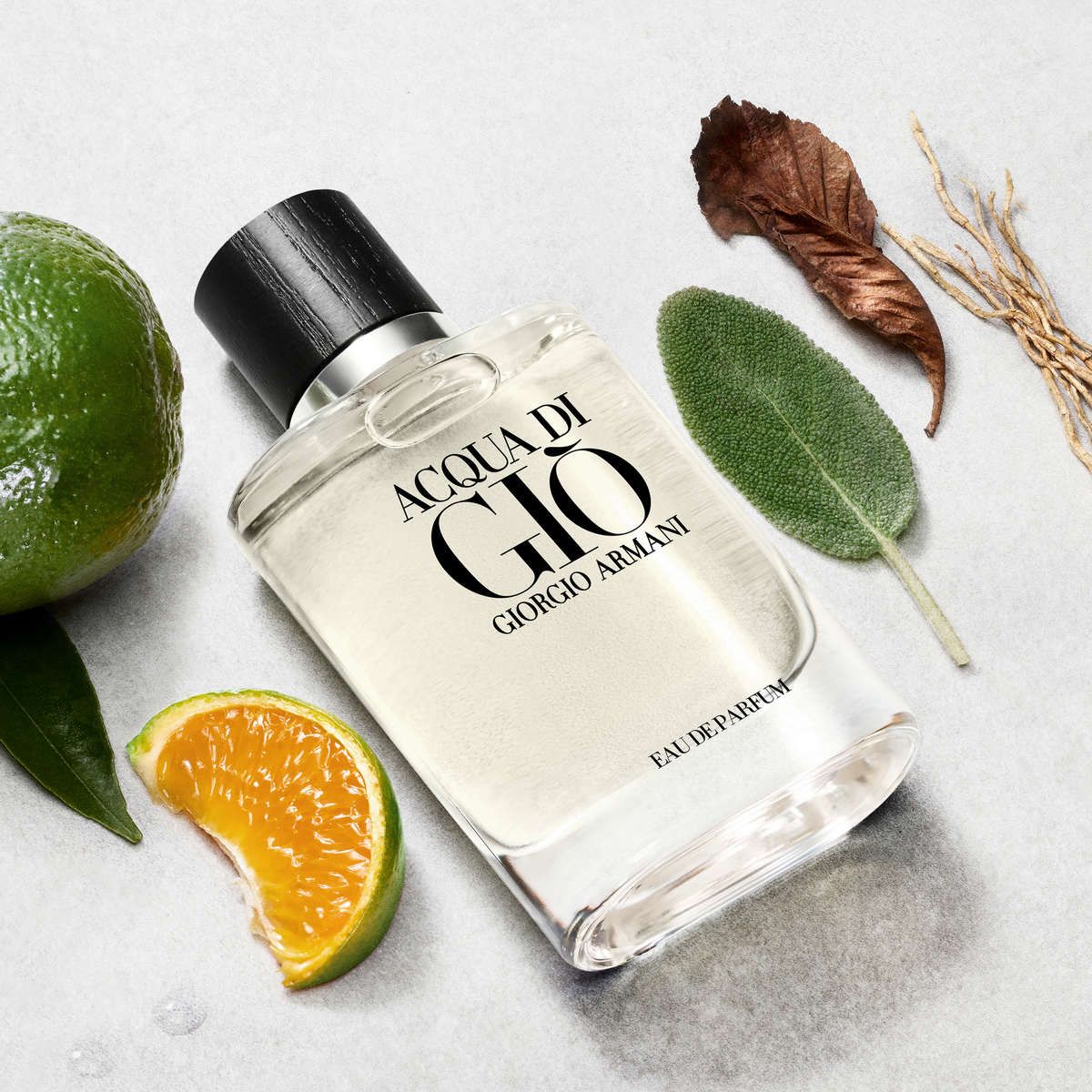 Giorgiio Armanii Acqua Di Gio Eau De Perfume